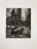 Franz Xaver von Pausinger, Ansichten aus dem kaiserlichen Thiergarten bei Wien; Herausgegeben mit Allerhöchster Genehmigung seiner Majestät des Kaisers von Franz Grafen Folliot de Crenneville k. k. Oberstkämmer (cover sheet with 12 plates)