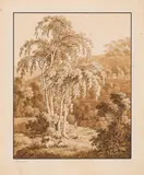 Adrian Zingg, Pasture landscape, brown wash pen; framed