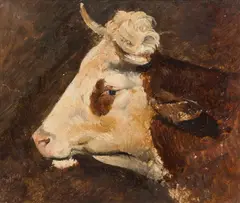Friedrich Gauermann, Head of a bull (study), oil on paper; framed