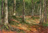 Theodor von Hörmann, Beech forest