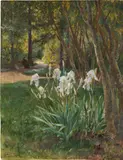Hugo Darnaut, Irises in the park