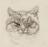 Cat head by Ludwig Heinrich Jungnickel, charcoal on paper; framed, sold Dec 2024