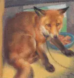 Norbertine Bresslern-Roth, Gefangener Fuchs