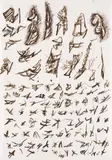 Othmar Zechyr, Untitled