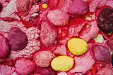 Stefanie Lintz, Betrachtung einer unbestimmten Menge zu definierender Elemente innerhalb eines beschlossenen Systems, 1999/2000, photograph on aluminium; unframed