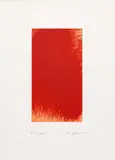 Arnulf Rainer, Metamorphosis, diamond-drypoint etching from steel-plated copper plate, clay plate chine-collé processed; framed
