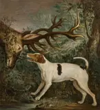 Jean-Baptiste Oudry, Hunting dog and stag, 1755, oil on canvas; unframed