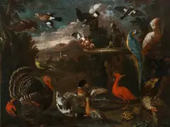 Pietro Neri Scacciati, Birds in a landscape with turtles, oil on canvas; framed