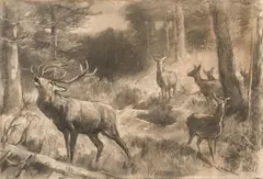 Franz Xaver von Pausinger, Roaring stag with hinds, charcoal, chalk on paper on canvas; framed