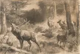 Franz Xaver von Pausinger, Roaring stag with hinds