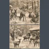 Franz Xaver von Pausinger, Deer herd at a feeding trough in the winter forest (pendants)