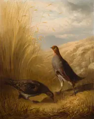 Ludwig Schuster, Two partridges in a field, 1873, oil on canvas; unframed