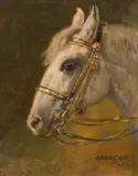 Alexander Pock, Horse head, oil on cardboard; framed