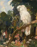Carl Fahringer, Cockatoo