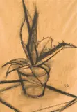 Rudolf Wacker, Cactus