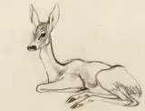 Ludwig Heinrich Jungnickel, Deer