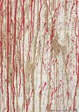 Hermann Nitsch, Untitled (bulk picture), 1998, acrylic and blood on linen; framed