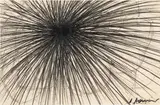 Arnulf Rainer, Zentralgestaltung
