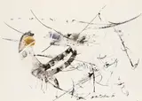 Hans Staudacher, Untitled