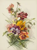 Gustav Feith, Bouquet with pansies, 1947, watercolour on paper; framed
