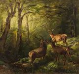 Franz Xaver von Pausinger, Deer in a sunny forest clearing