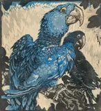 Ludwig Heinrich Jungnickel, Two blue macaws