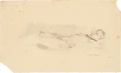 Franz Wiegele, Mixed lot: Two nude studies, pencil on paper; unframed