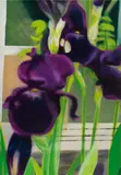 Alexandra Wacker, Purple irises, 2003, oil on canvas; framed
