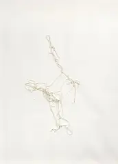 Clemens Wolf, Line drawing, 2018, epoxid on parachute cord on paper; framed