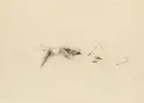 Karl Korab, Lying nude, 1981, charcoal on paper; unframed