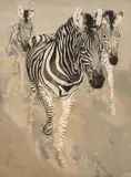 Norbertine Bresslern-Roth, Zebras