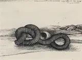 Othmar Zechyr, Synekdochetische Architektur (Strandstadt II)