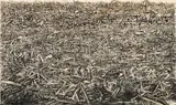 Othmar Zechyr, Untitled