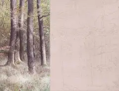 Alfredo Barsuglia, Wald, 2014, mixed media on canvas; unframed