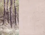 Alfredo Barsuglia, Wald, 2014, mixed media on canvas; unframed