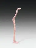 Erwin Wurm, Lars, Arm Lifted