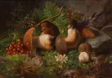 Hans Zatzka, Glückspilze