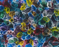 Ohne Titel by Jiří Georg Dokoupil, 2016-2019, Mixed media. Soap suds and pigments on canvas, sold Jun 2024