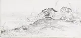 Wilhelm Kuhnert, Löwen auf der Lauer, 1900, Pencil drawing