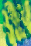 Katharina Grosse, Ohne Titel