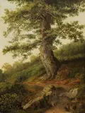 Jacob Philipp Hackert, Alter Olivenbaum bei Camaldoli
