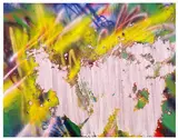 Katharina Grosse, Ohne Titel, 2008, Acrylic and sand on canvas