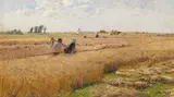 Hugo Mühlig, Erntefeld am Niederrhein