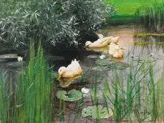 Alexander Koester, Enten im Seerosenteich, Um 1910, Gouache and pastel on panel