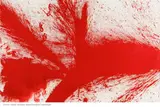 Hermann Nitsch, Schüttbild (19. Malaktion 1986), 1986, Oil on primed burlap