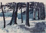 Karl Schmidt-Rottluff, Waldrand