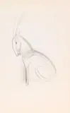 Franz Marc, Kleiner Steinbock, Um 1913, Pencil drawing