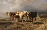 Anton Braith, Kühe am Seeufer, 1889, Oil on canvas