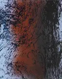 Hans Hartung, T1980-E43
