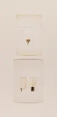 Arclight by Joseph Beuys, 1960, Collage on board. Paper and white-laminated boa..., sold Jun 2021